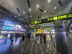 ドイツ体操祭✈️