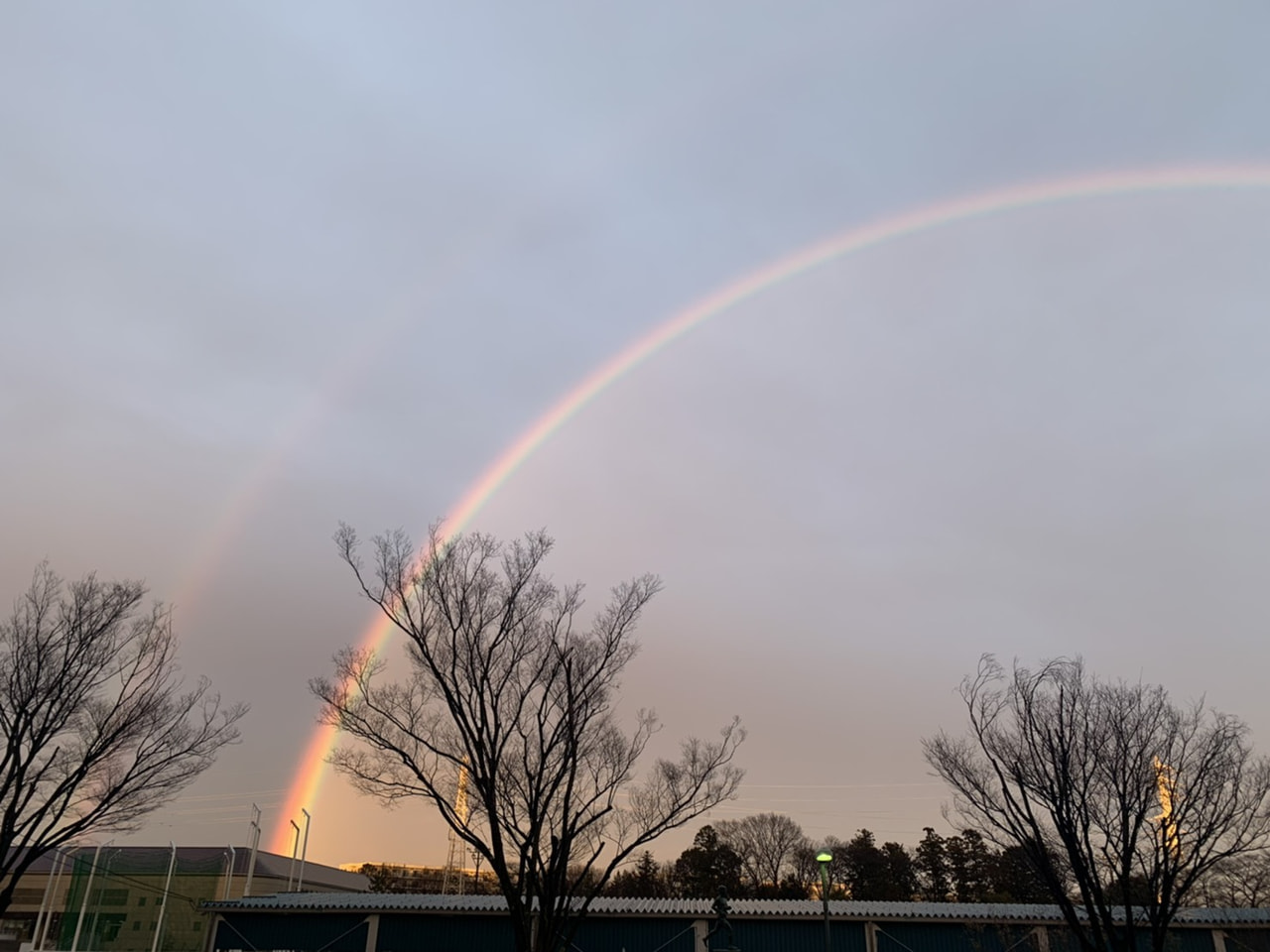 青天の霹靂。