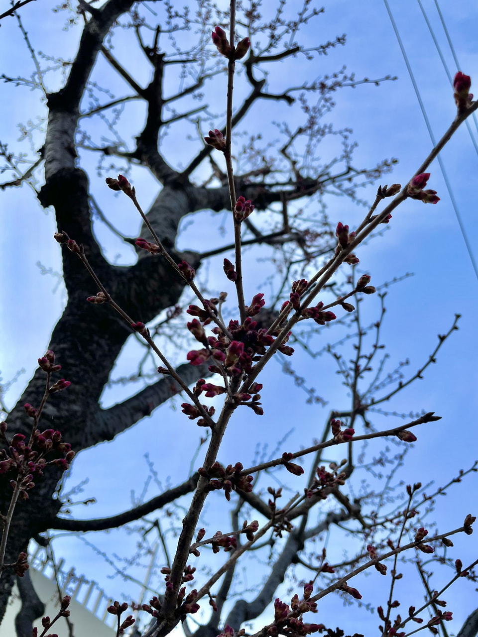 先輩として必要な事。